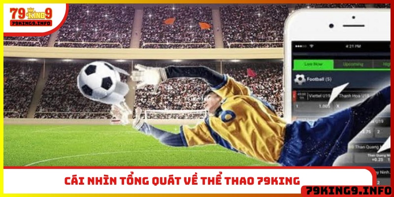 Cái nhìn tổng quát về thể thao 79King
