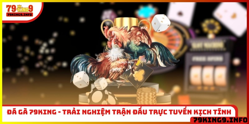 Cách sử dụng chuyên mục hướng dẫn 79King