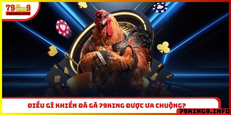 Điều gì khiến đá gà 79King được ưa chuộng?