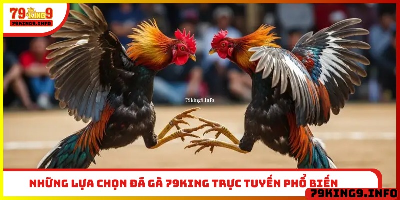 Những lựa chọn đá gà 79King trực tuyến phổ biến 